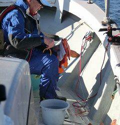 第二清洋丸 釣果