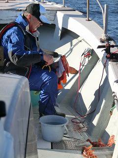 第二清洋丸 釣果