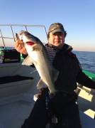 ＫＯＮＡＹＡｰＭＡＲＵ（こなや丸） 釣果