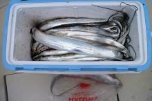 KIM Fishing Guide Ser…