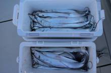 KIM Fishing Guide Ser…