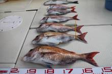 KIM Fishing Guide Ser…