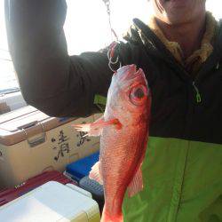 香織丸 釣果