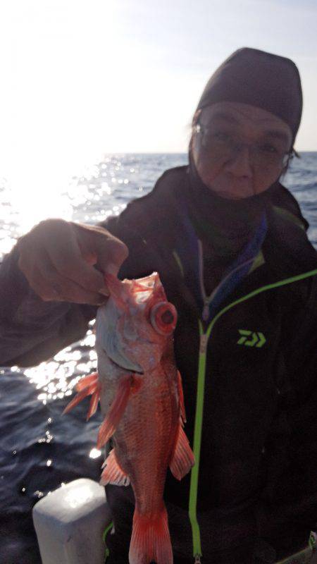 香織丸 釣果