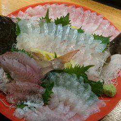 リトルワン 釣果