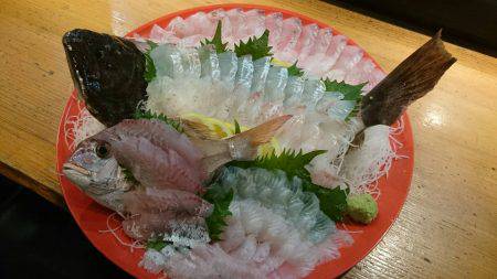 リトルワン 釣果