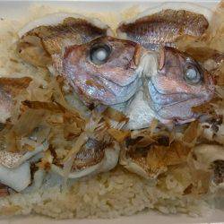 リトルワン 釣果