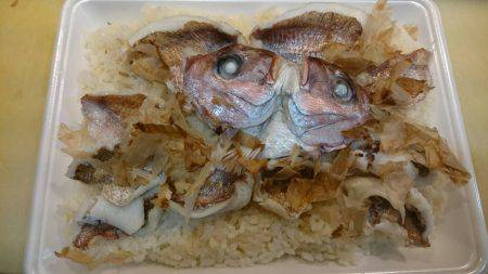 リトルワン 釣果