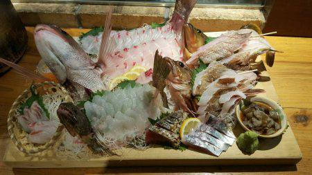 リトルワン 釣果