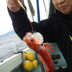 香織丸 釣果