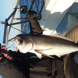 香織丸 釣果