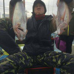 リトルワン 釣果