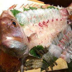 リトルワン 釣果