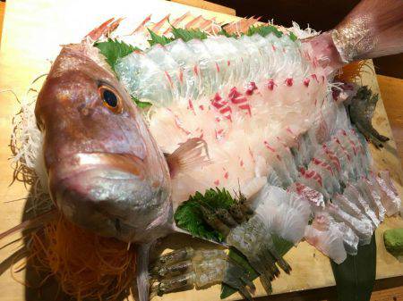 リトルワン 釣果