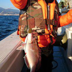 リトルワン 釣果