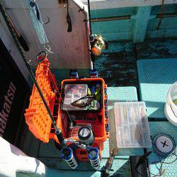 シードリーム 釣果