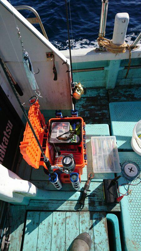 シードリーム 釣果