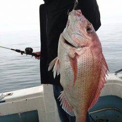 リトルワン 釣果