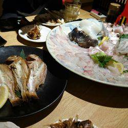 リトルワン 釣果