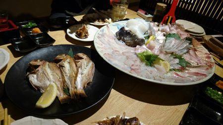 リトルワン 釣果