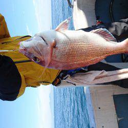 リトルワン 釣果