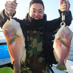 リトルワン 釣果