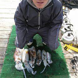 シードリーム 釣果