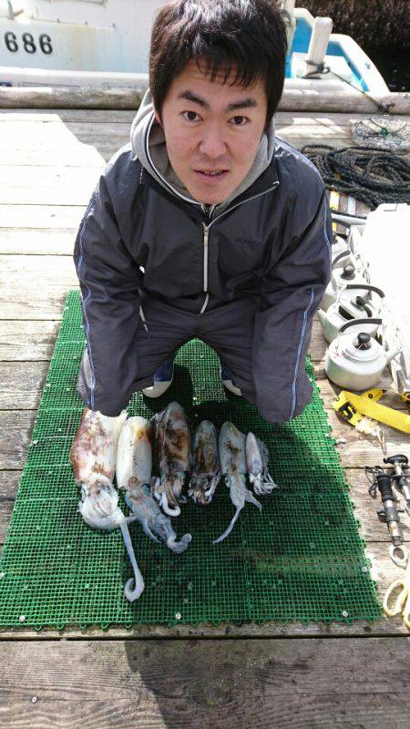 シードリーム 釣果