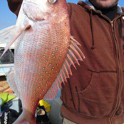 リトルワン 釣果