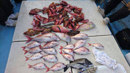 リトルワン 釣果