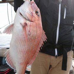 リトルワン 釣果