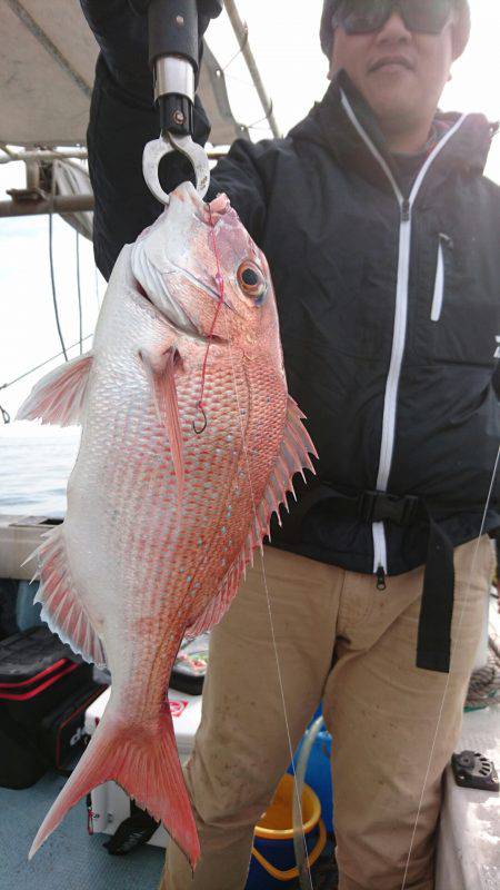 リトルワン 釣果