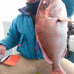 リトルワン 釣果