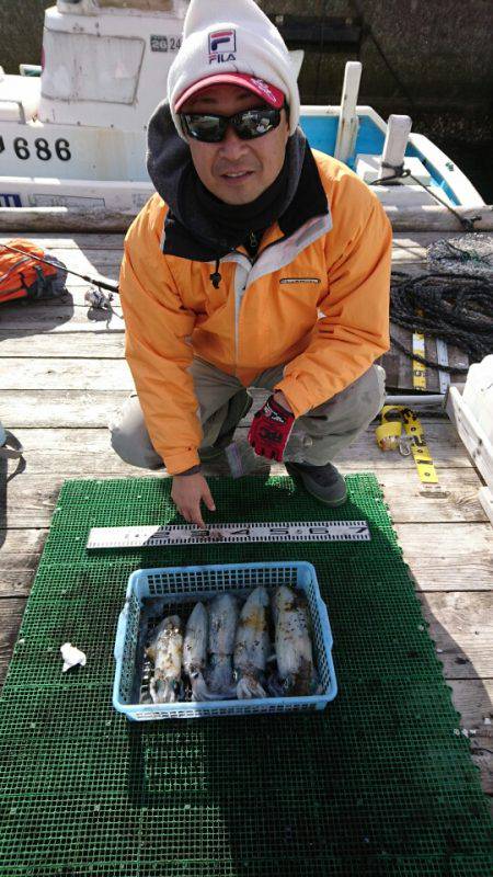 シードリーム 釣果