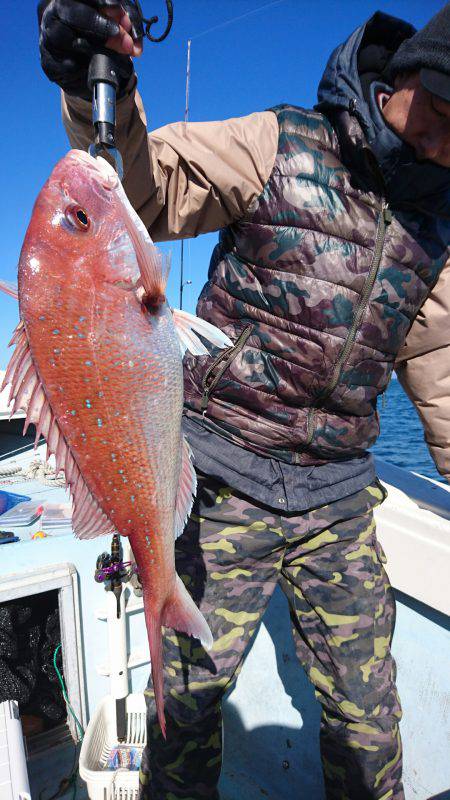 リトルワン 釣果