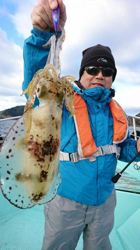 シードリーム 釣果