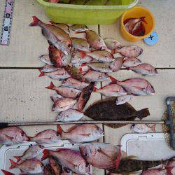 リトルワン 釣果