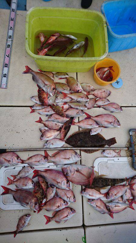 リトルワン 釣果