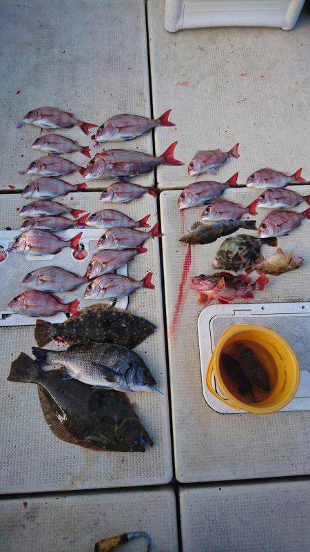 リトルワン 釣果