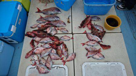 リトルワン 釣果