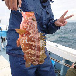 リトルワン 釣果