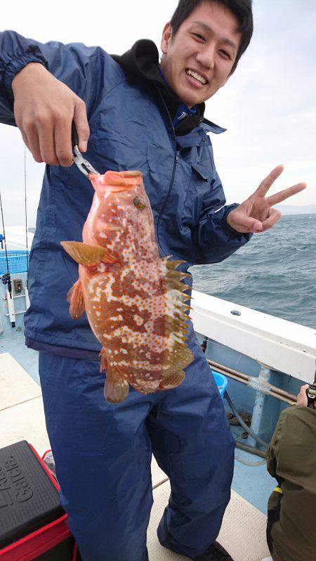 リトルワン 釣果