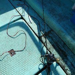 シードリーム 釣果