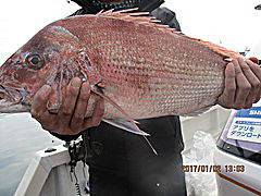 遊漁船 未紗奈 釣果