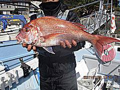 遊漁船 未紗奈 釣果