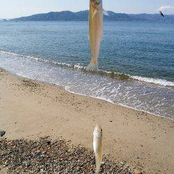 砂浜から大遠投 キスの投げ釣り 引き釣り 講座 カンパリプラス