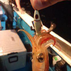 スタイリッシュにケンサキイカを狙う！イカメタルを楽しもう！