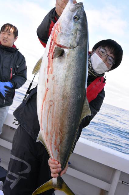 ジギング船 BLUEWATER 釣果