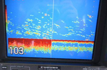 ジギング船 BLUEWATER 釣果