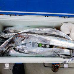 遊漁船　ニライカナイ 釣果